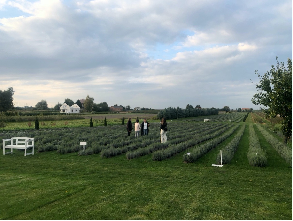 GELECEĞİMİ ÇÖPE ATMA! PROJESİ FARKINDALIK YARATIYOR  Uçan Balon Çocuk ve Gençlik Derneği’nin çevre ve iklim değişikliği konularına odaklanan projesi  faaliyetlerine devam ediyor.